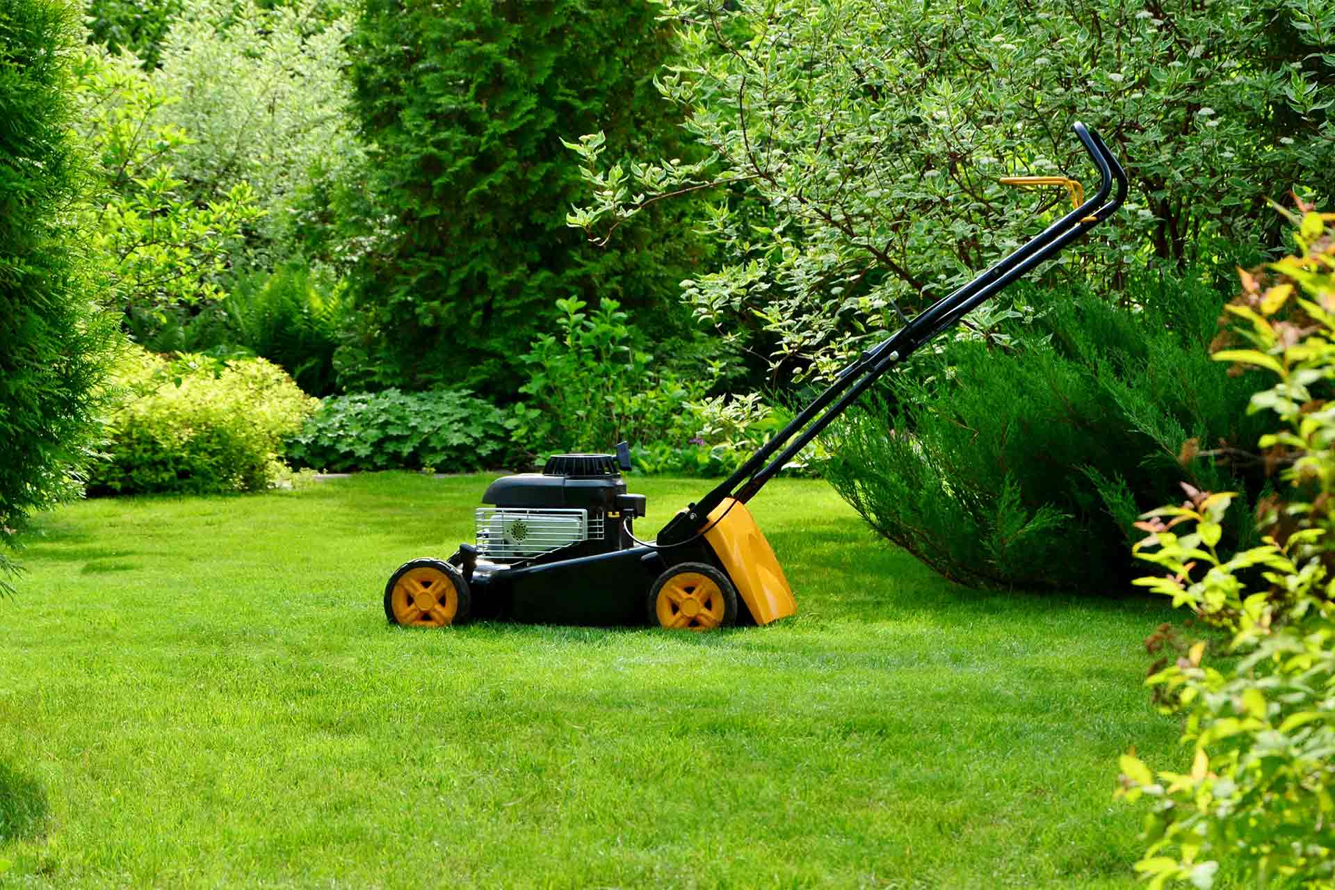 Why Do You Need a Lawn Service When Your Grass is Dormant?