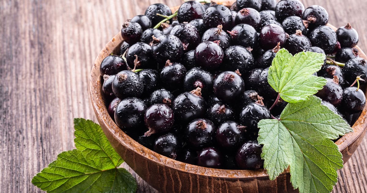 Health Benefits of Currants Plus How To Use