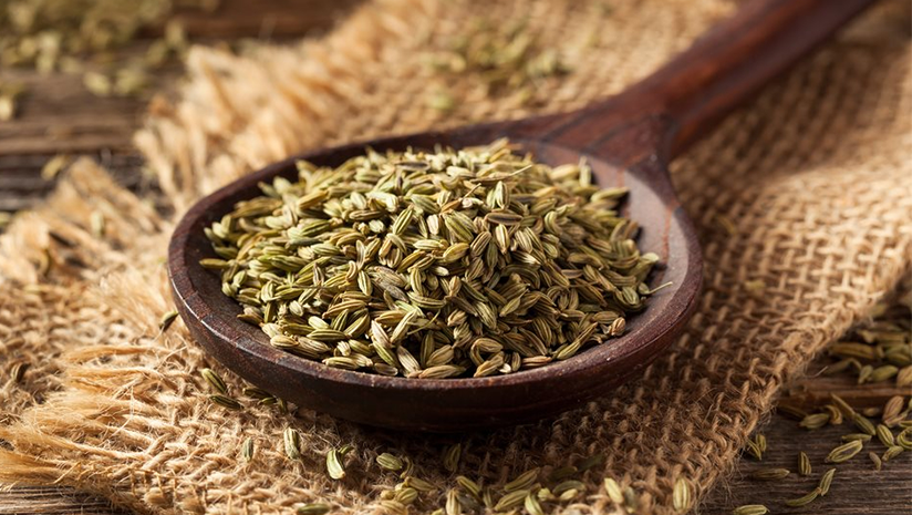 Eleven Ways Fennel Seeds Can Benefit Your Health