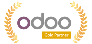 How To Choose the Best Odoo Partner For Your Company